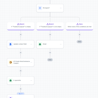 Conditional Sandrinas coupon workflow with WooCommerce create, email, wait and delete steps